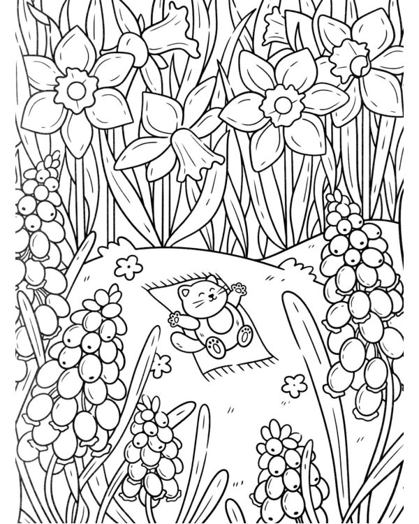 Цветочный мир: книжка-раскраска