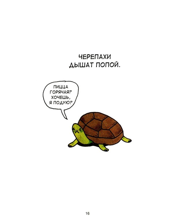 Грустные факты о животных