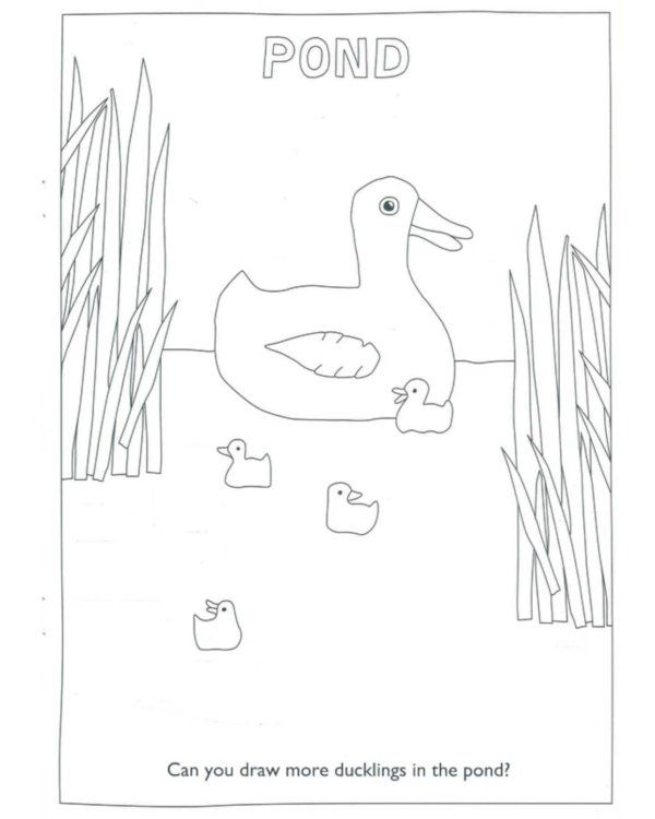 The Very Hungry Caterpillar's Nature Colouring Book