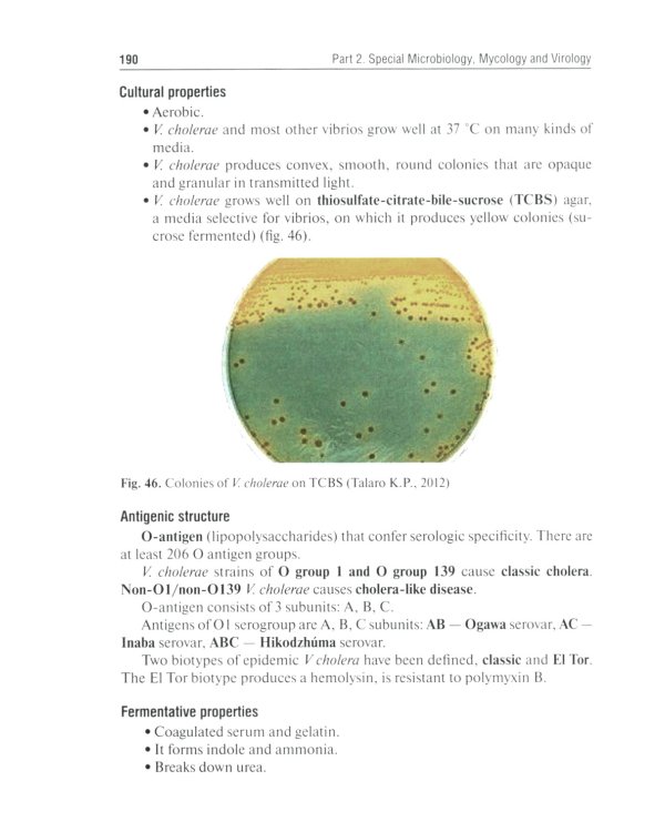 Medical Microbiology, Virology and Immunology. Lecture Notes: textbook = Медицинская микробиология, вирусология и иммунология: лекции