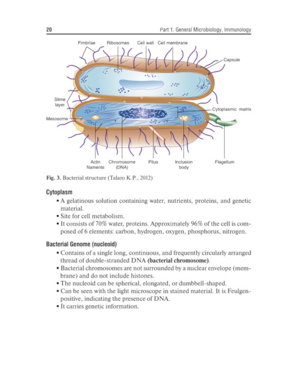 Medical Microbiology, Virology and Immunology. Lecture Notes: textbook = Медицинская микробиология, вирусология и иммунология: лекции