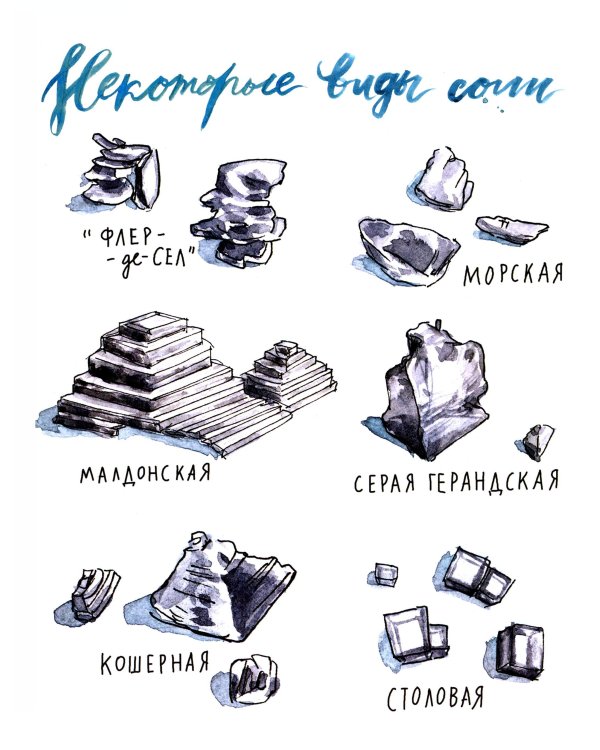 Соль, жир, кислота, жар. Главные элементы хорошей кухни