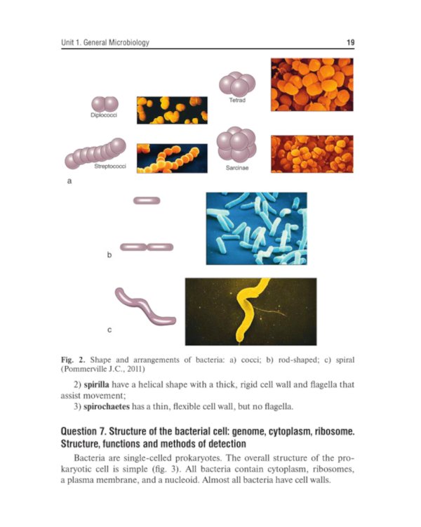 Medical Microbiology, Virology and Immunology. Lecture Notes: textbook = Медицинская микробиология, вирусология и иммунология: лекции