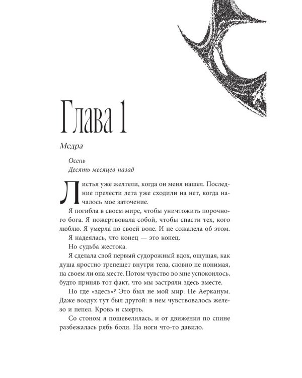 Дополнительное изображение книги «На крыльях крови»