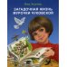 Загадочная жизнь Мурочки Чуковской
