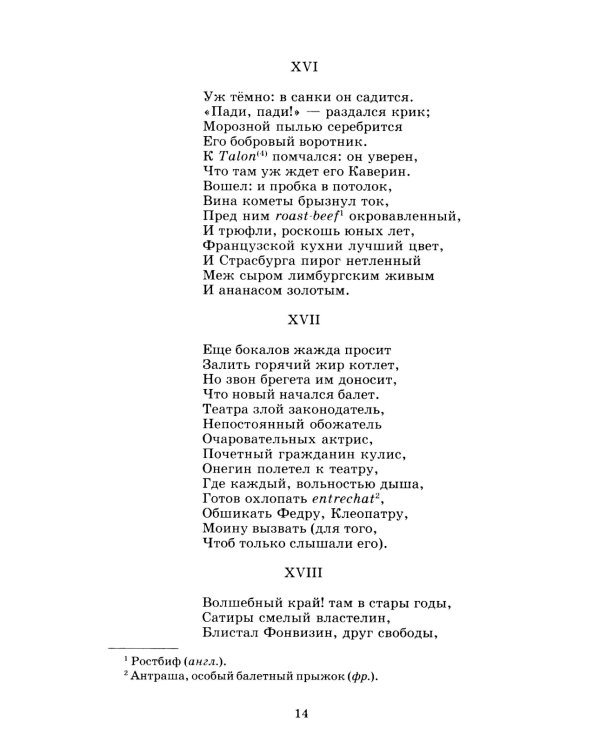 Евгений Онегин: роман в стихах