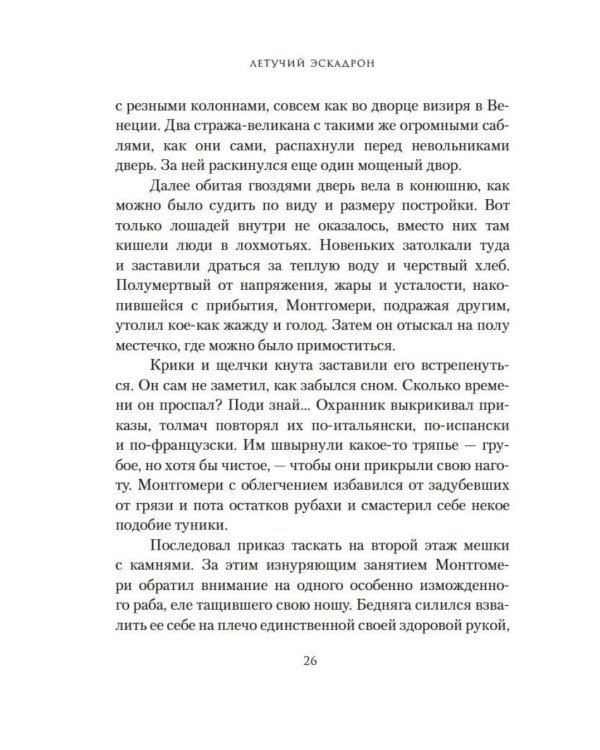Дополнительное изображение книги «Константинопольский невольник»