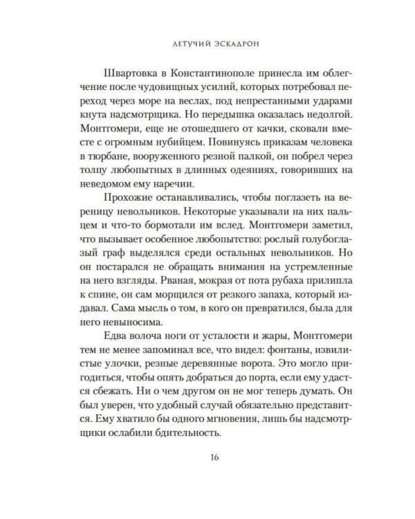 Дополнительное изображение книги «Константинопольский невольник»
