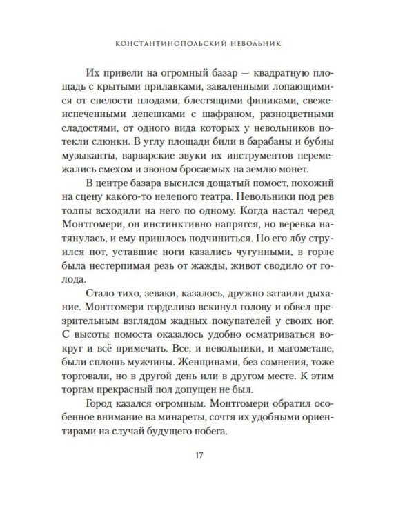 Дополнительное изображение книги «Константинопольский невольник»