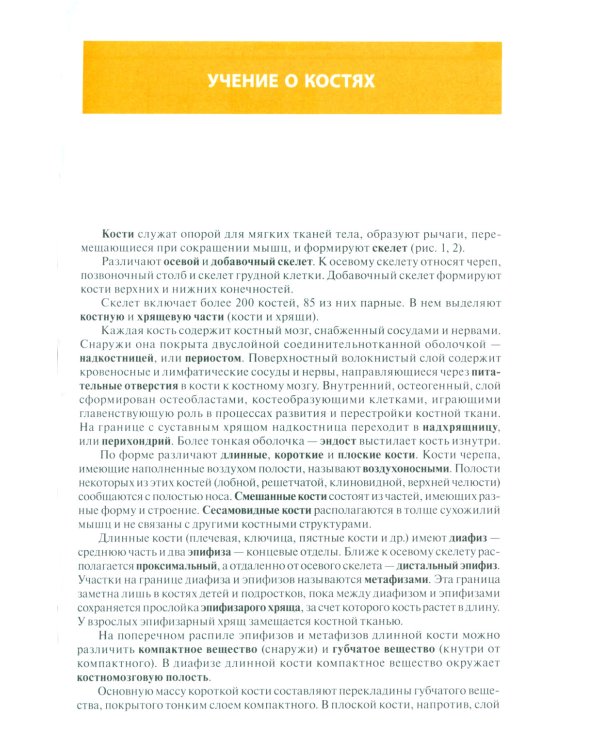 Атлас анатомии человека: Учебное пособие