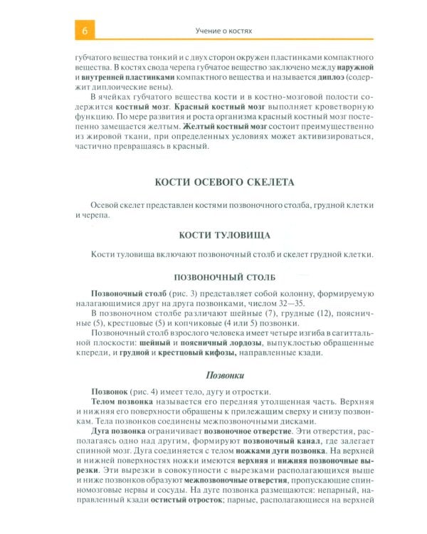 Атлас анатомии человека: Учебное пособие