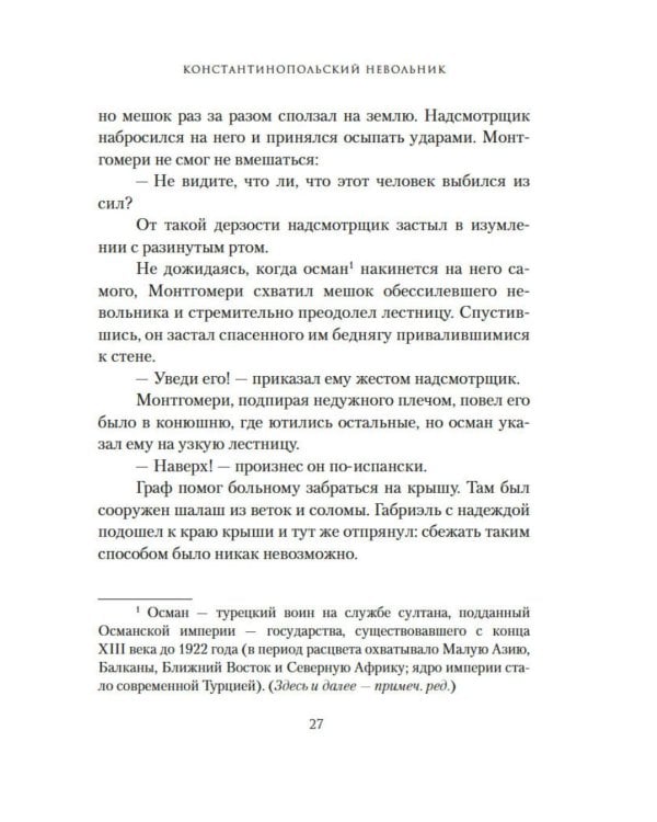 Дополнительное изображение книги «Константинопольский невольник»