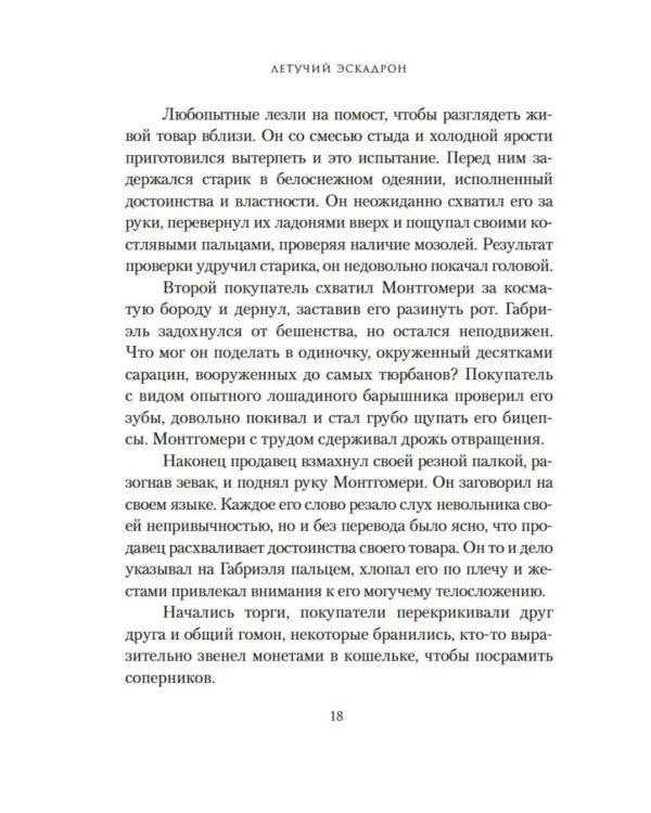 Дополнительное изображение книги «Константинопольский невольник»