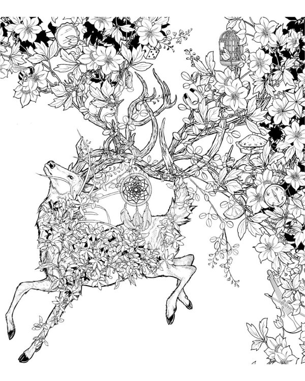 Живое. Раскраски за гранью воображения