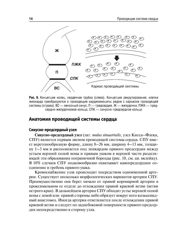 Основы электрокардиостимуляции. Учебное пособие