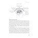 Не корми свою тревогу: Как питание влияет на наше настроение