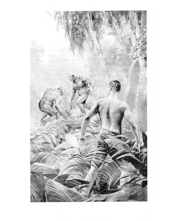 Корм: фантастический роман