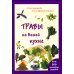 Травы на вашей кухне Травы на вашей кухне
