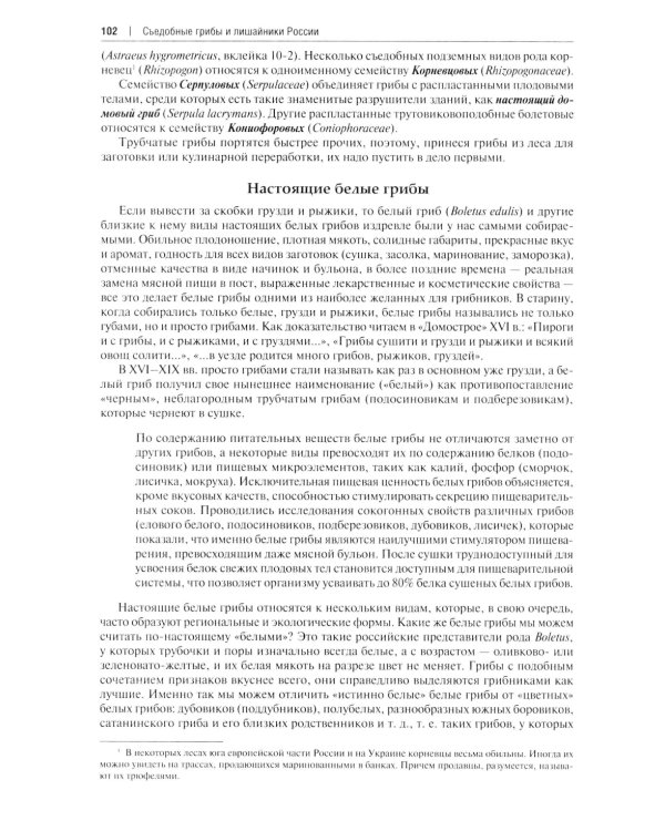 Все о грибах. Популярная энциклопедия