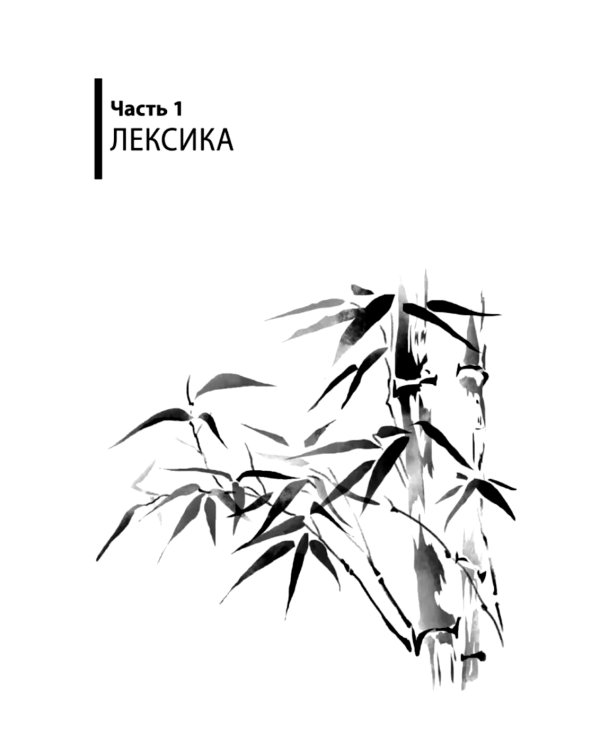 Курс китайского языка. Грамматика и лексика HSK-1. Новый стандарт экзамена HSK 3.0