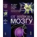 От нейрона к мозгу. 6-е изд От нейрона к мозгу. 6-е изд