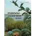 Дополнительное изображение книги «РИФМЫ - уголки моей души»