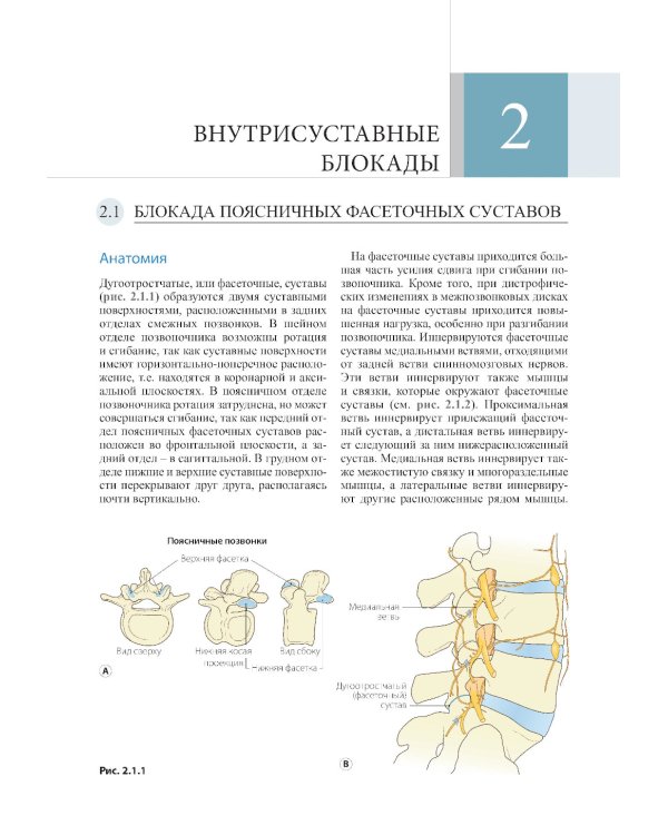 Атлас по инъекционным методам лечения боли. 2-е изд