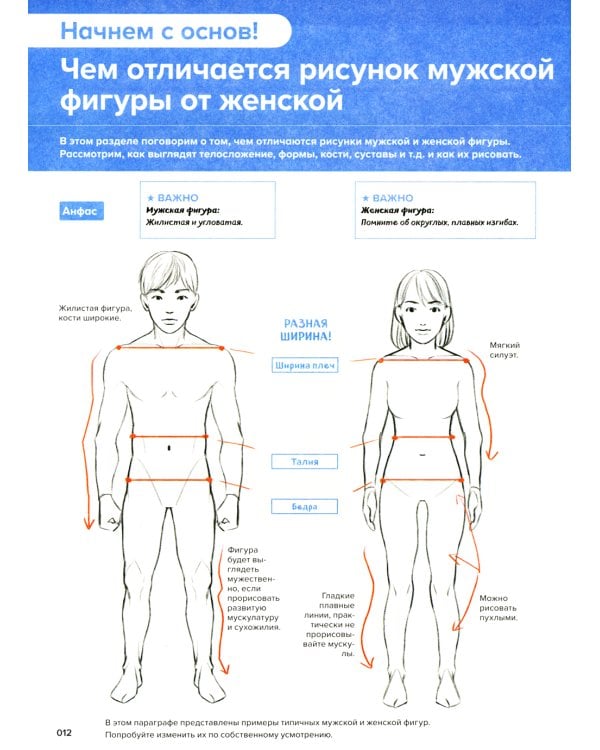 Дополнительное изображение книги «Action-манга: полный курс для начинающих от Макото Сава и shoco»
