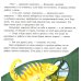 Что такое чувства? Развиваем эмоциональный интеллект