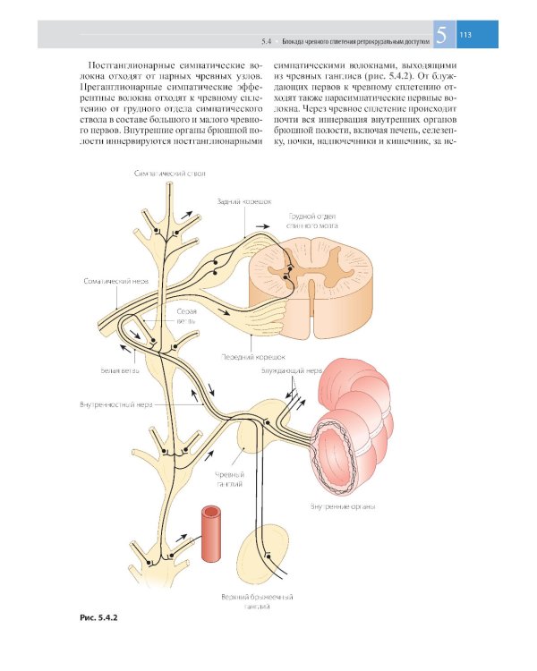 Атлас по инъекционным методам лечения боли. 2-е изд