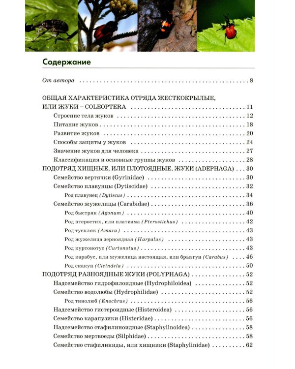 Атлас жуков средней полосы России