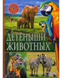 Детеныши животных (Популярная детская энциклопедия)