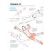 Дополнительное изображение книги «Action-манга: полный курс для начинающих от Макото Сава и shoco»