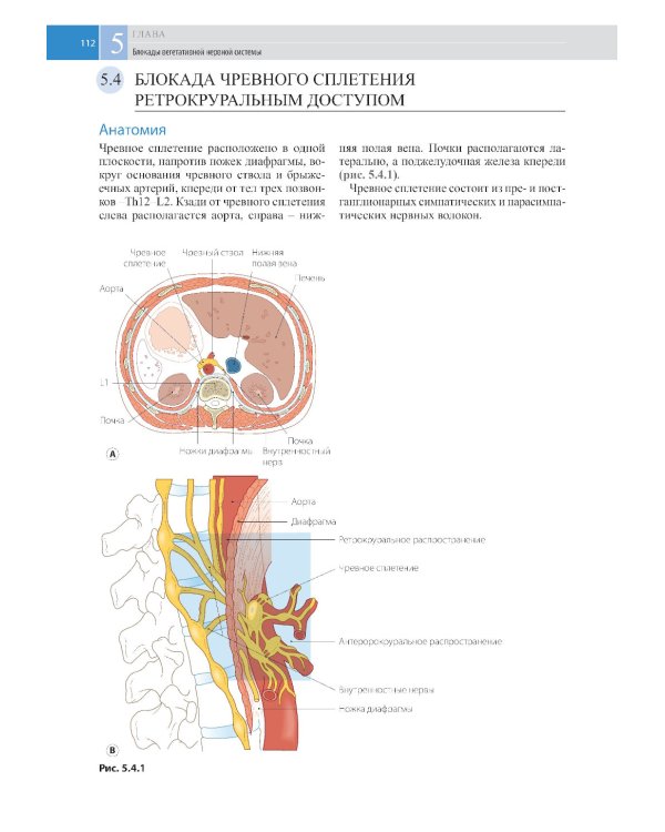 Атлас по инъекционным методам лечения боли. 2-е изд