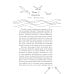 Дополнительное изображение книги «Ты пахнешь как море»