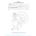 Логопедическая тетрадь-раскраска. Звуки [л], [л’]. Постановка и закрепление произношения звуков. 5-7 лет