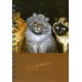 Скетчбук Уэйн. Пять кошек. Рыжий во главе