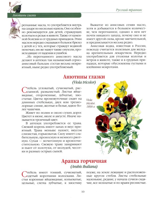 Русский травник. Подробное описание трав, корней и цветов, употреблявшихся для полного излечения различных болезней и недугов в России