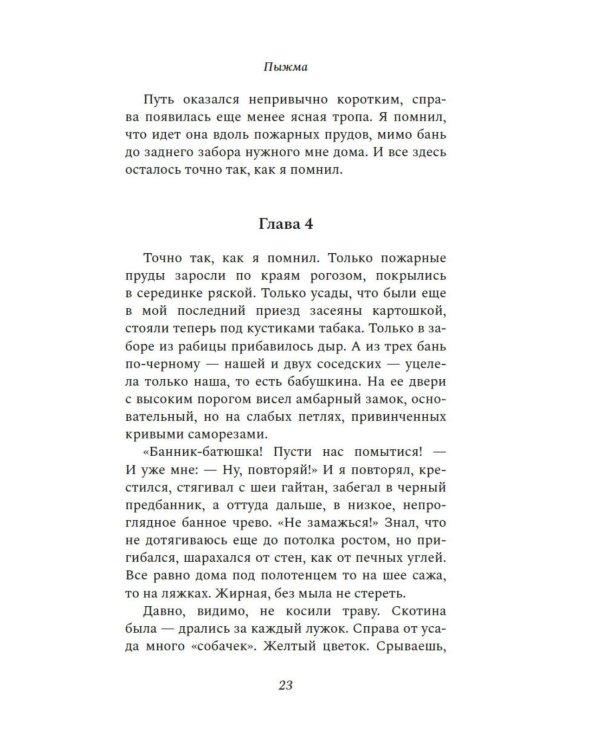 Пыжма