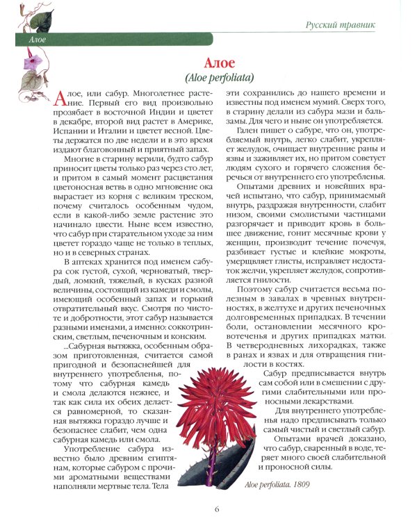 Русский травник. Подробное описание трав, корней и цветов, употреблявшихся для полного излечения различных болезней и недугов в России