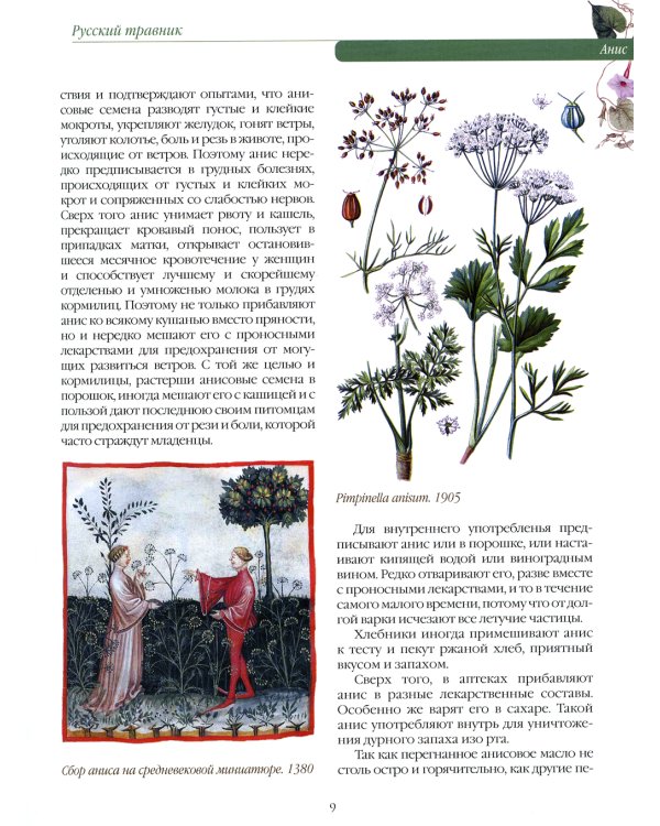 Русский травник. Подробное описание трав, корней и цветов, употреблявшихся для полного излечения различных болезней и недугов в России