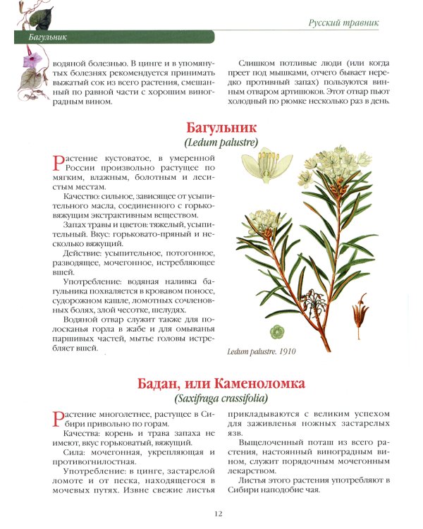 Русский травник. Подробное описание трав, корней и цветов, употреблявшихся для полного излечения различных болезней и недугов в России
