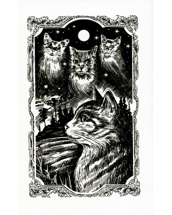 Коты-воители. Тень Когтегрива. Кн. 2. Возвращение