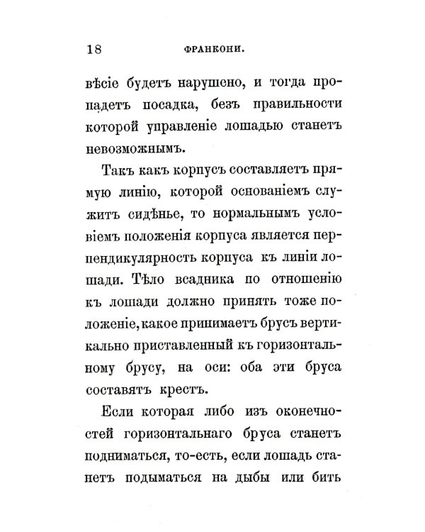 Всадник: Курс верховой езды