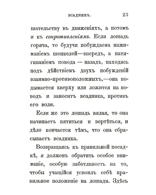 Всадник: Курс верховой езды