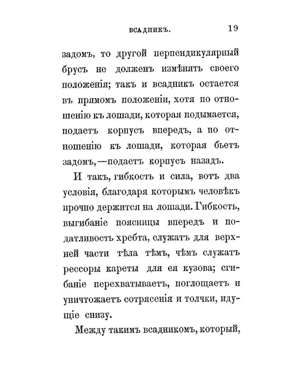 Всадник: Курс верховой езды