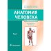 Анатомия человека: Учебник. В 2 т. Т. 1 Анатомия человека: Учебник. В 2 т. Т. 1