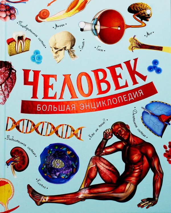 Большая энциклопедия Человек. Большая энциклопедия
