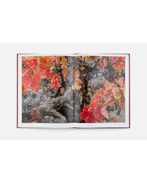 Винный Атлас России