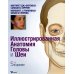 Иллюстрированная анатомия головы и шеи. 5-е изд